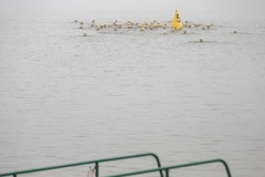 2019-08-31_08-54-52